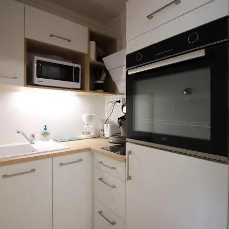 Mont-dore: 4 Pers, Proche Centre, Wifi, Parking, T2 Au Calme - Fr-1-608-253 Lägenhet Le Mont-Dore