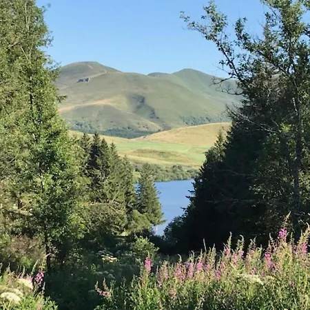 Mont-dore: 4 Pers, Proche Centre, Wifi, Parking, T2 Au Calme - Fr-1-608-253 Lägenhet